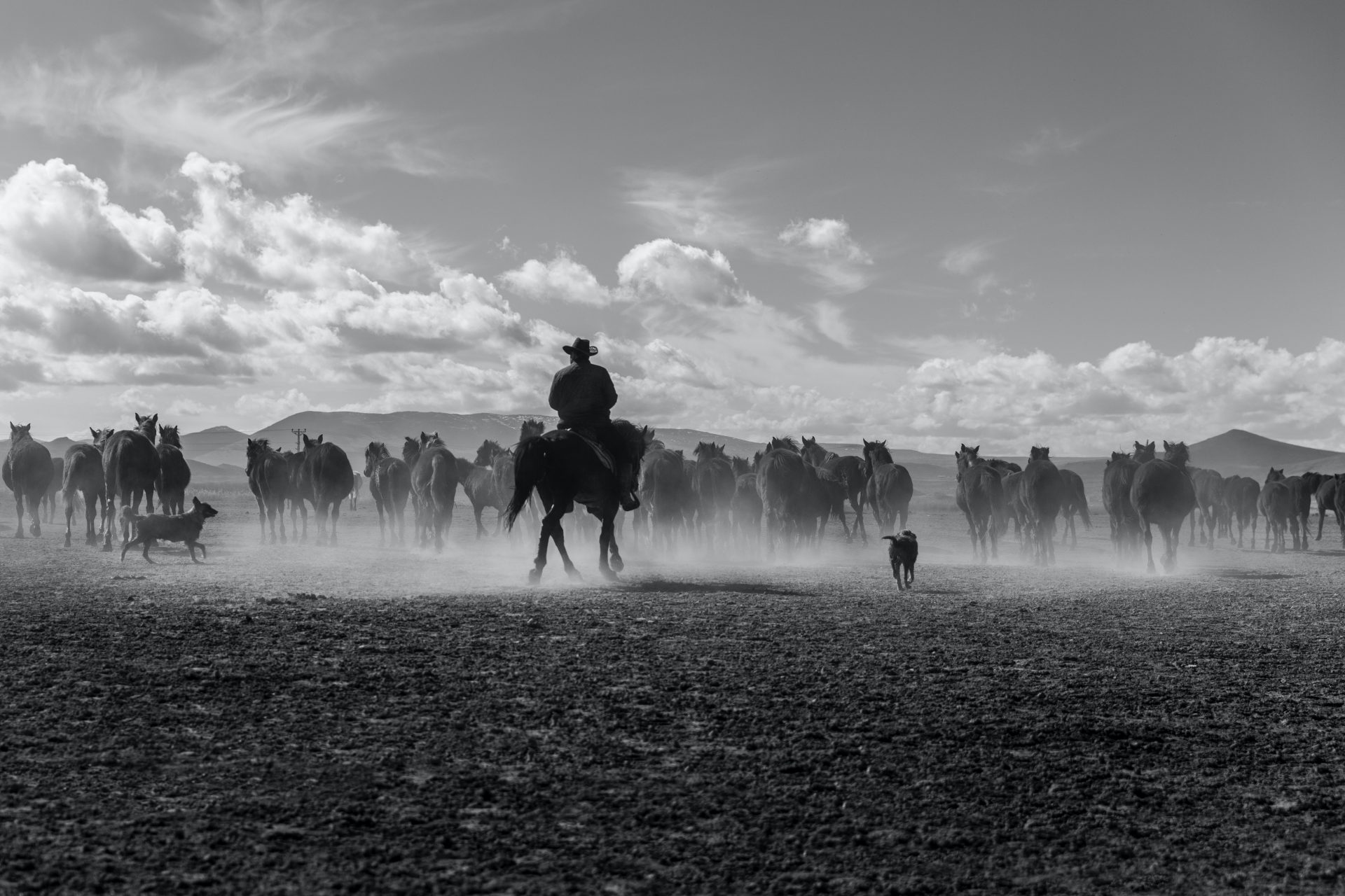 A man riding his horse developing true grit and resilience to overcome adversity